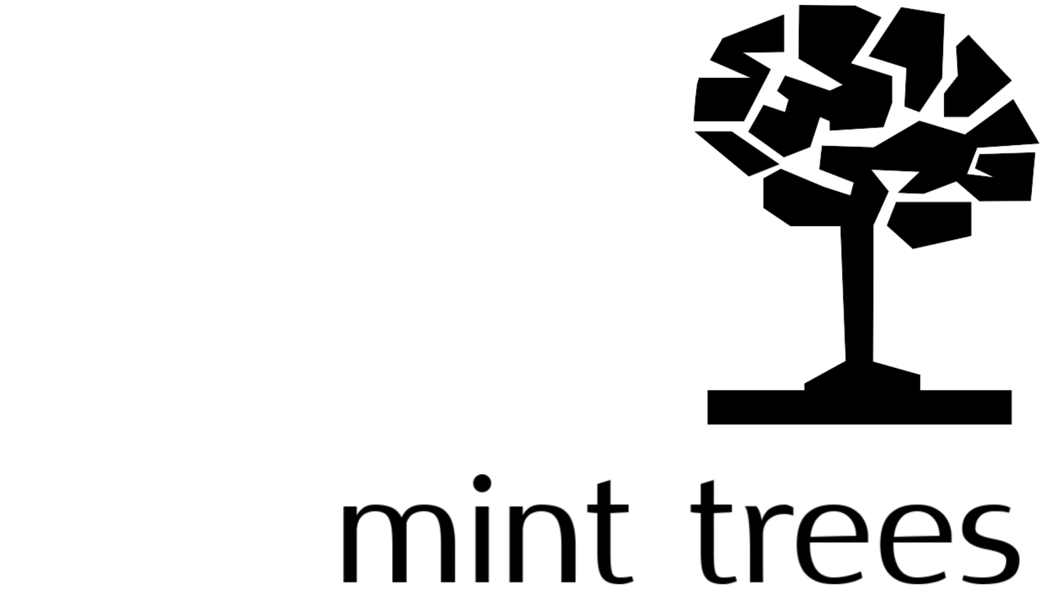 mint trees